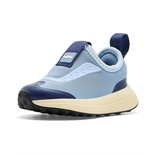 Kids Native Shoes Kids Robbie Dash (Toddler)