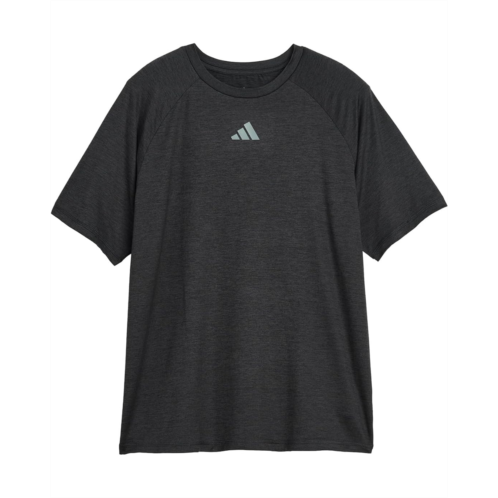 Adidas Kids Raglan Poly Tee (Big Kid)