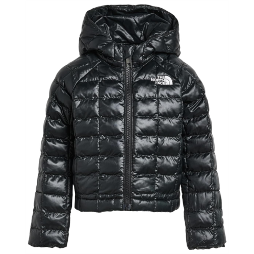 Boys The North Face Kids ThermoBall Hooded Jacket (Toddler)