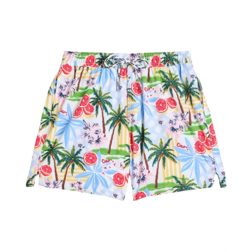 Boys Snapper Rock Kids Ciao Paradiso Swim Shorts (Toddler/Little Kid/Big Kid)