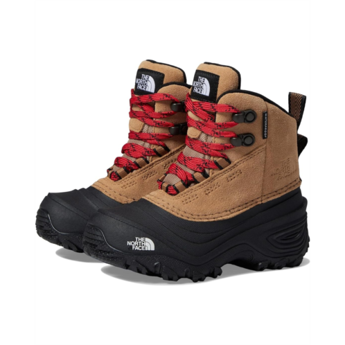 Kids The North Face Kids Chilkat V Lace WP (Toddler/Little Kid/Big Kid)