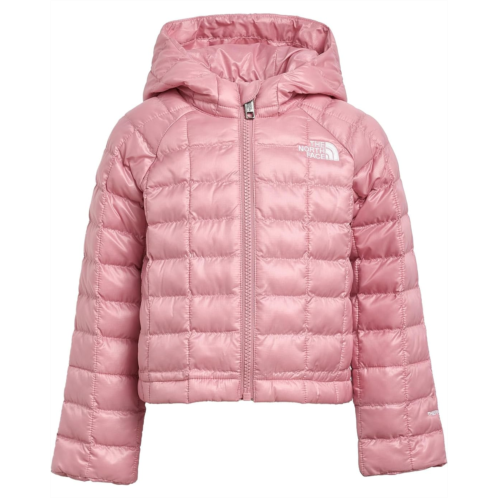 Kids The North Face Kids ThermoBall Hooded Jacket (Toddler)