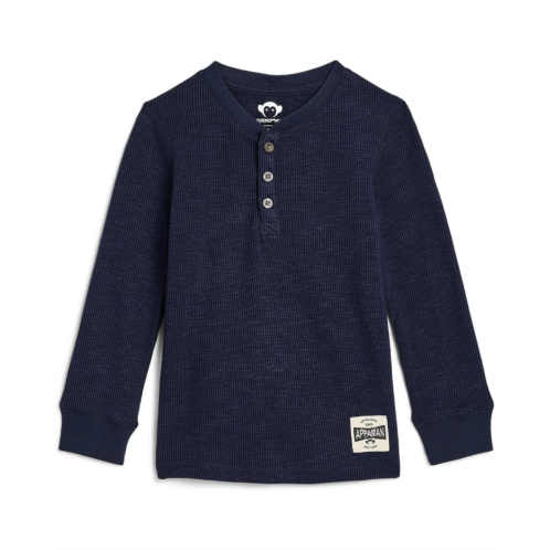 Boys Appaman Kids Craftsman Thermal Henley (Toddler/Little Kid/Big Kid)
