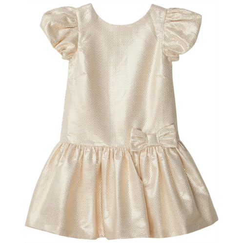 Janie and Jack Gold Jacquard Dress (Toddler/Little Kid/Big Kid)