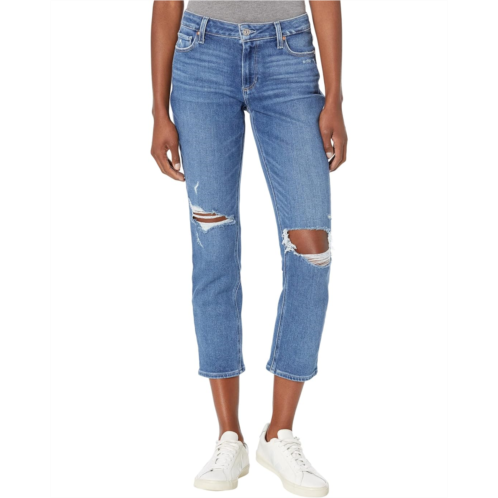 Paige Brigitte in Ceylon Destructed