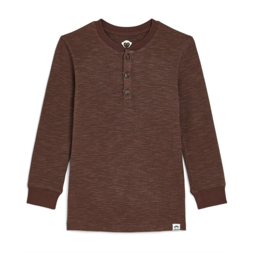 Boys Appaman Kids Craftsman Thermal Henley (Toddler/Little Kid/Big Kid)