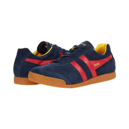 Gola Harrier