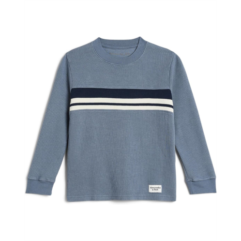 Boys abercrombie kids Flat Back Rib Knit Shirt (Little Kid/Big Kid)