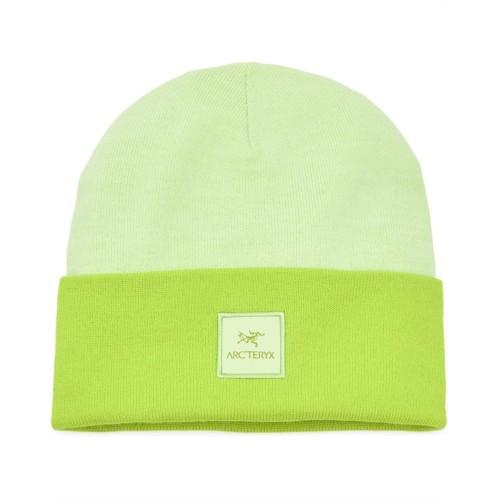 Arc teryx Color Block Toque