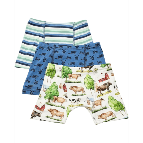 Kickee Pants Kids Print Boxer Brief Set of 3