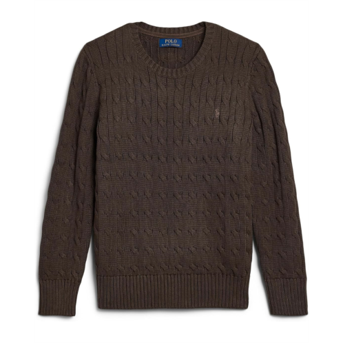 Boys Polo Ralph Lauren Kids Cable-Knit Cotton Sweater (Big Kid)