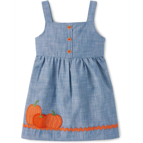 Girls Gymboree Embroidered Sleeveless Skirtall Jumper (Big Kid)