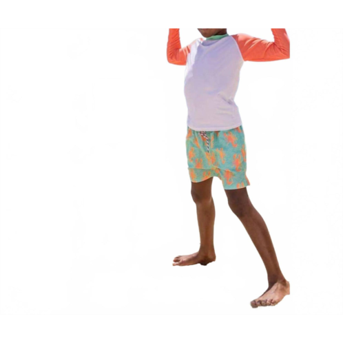 SNAPPER ROCK boys coastal shells sustainable swim shorts in blue