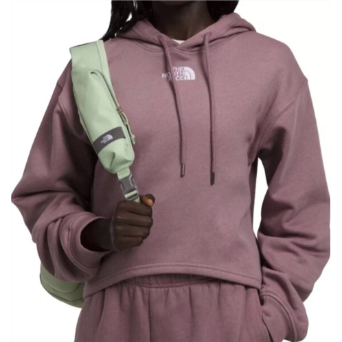 THE NORTH FACE evolution hi-lo hoodie in fawn grey