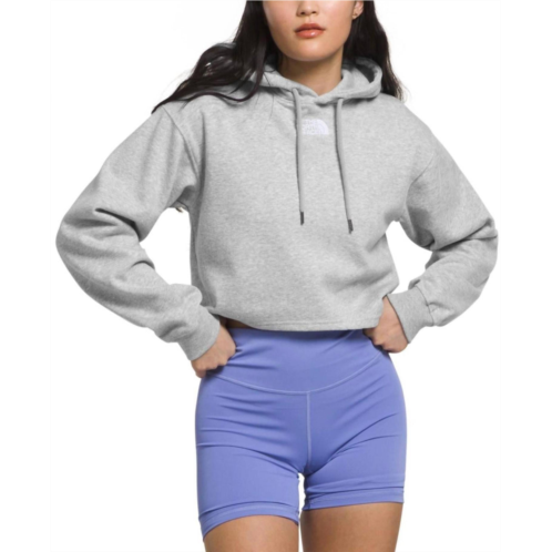 THE NORTH FACE womens evolution hi-lo hoodie in light grey heather