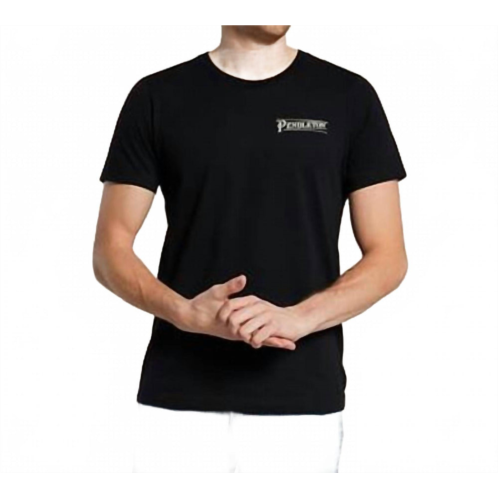 PENDLETON campfire logo graphic tee in black/multi