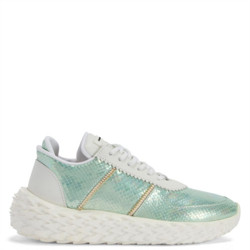 Giuseppe Zanotti urchin