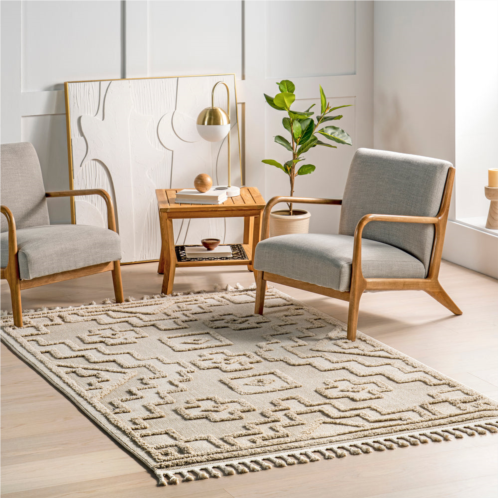 NuLOOM roslin moroccan high-low tasseled area rug