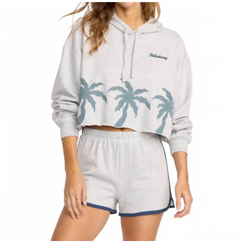 Billabong triple palms pullover hoodie in grey