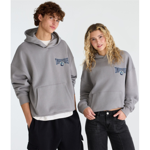 Aeropostale minnesota timberwolves basketball pullover hoodie