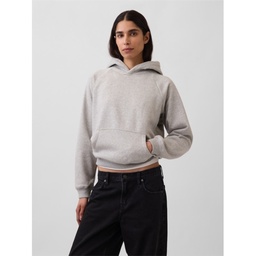 Gap VintageSoft Hoodie