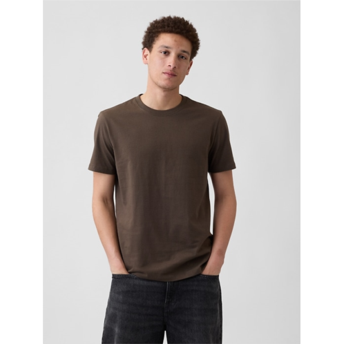 Gap Everyday Soft Crewneck T-Shirt