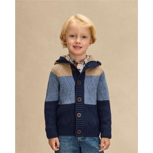 Gymboree Boys Colorblock Cardigan - First Frost - blue Gymboree Boys Colorblock Cardigan - First Frost - blue