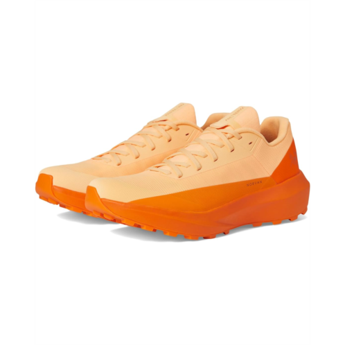 Arc teryx Norvan LD 4 Arc teryx Norvan LD 4