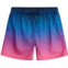 Burnside Mens Ombre Volley Swim Shorts Blue