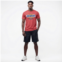 State Life Mens IN Champ Label T-shirt