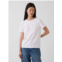 Gap Organic Cotton VintageSoft T-Shirt
