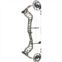 Bear Whitetail Legend Pro Compound Bow - Right Hand