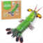 MAKEBUG Educational Toddler Toys Hands-On Learning Experience Inquisitive Minds, Preschool Puzzle for Birthday, Christmas, Holidays(Peacock Mantis Shrimp, Ages 7 and Up)