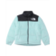 The North Face Kids Teen 1996 Retro Nuptse Jacket (Little Kid/Big Kid)