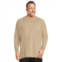 Mens Carhartt Big & Tall Flame-Resistant Force Long Sleeve T-Shirt