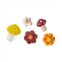 Crocs Zen Garden Sensory Jibbitz 5-Pack