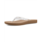작은쎔네일1