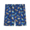 Boys Deux par Deux Truck Boardshorts (Big Kid)