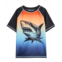 Boys Deux par Deux Gradient Rashguard (Big Kid)