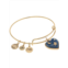 Alex and Ani Path of Symbols Heart Bracelet