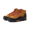 Mens Danner Panorama Mid 6
