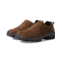 Bearpaw Max