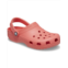 작은쎔네일1