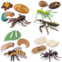 Toymany 16PCS Insect Figurines Life Cycle of Stag Beetle,Honey Bee,Mantis,Ant Plastic Safariology Bug Figures Toy Kit Caterpillars to Butterflies Educational School Project for Kid