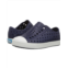 Native Shoes Kids Jefferson Slip-on Sneakers (Toddler/Little Kid)