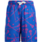 Boys ChalkTalk SPORTS Guys Lacrosse Swim Trunks (Little Kid/Big Kid)