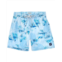 Endless Summer volley swim short