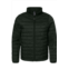 Burnside elemental puffer jacket