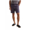 Velvet by Graham & Spencer eamon linen shorts in french