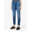 FRAME le garcon mid rise jeans in agecroft destruct